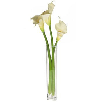 Caicara de Maturin flowers  -  Timeless Beauty Display Flower Delivery
