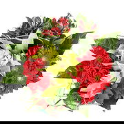 Purtsa online Florist - Blooming Joy Bouquet