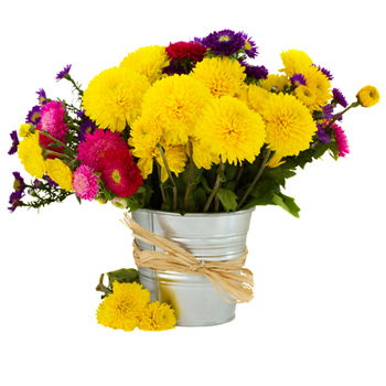 Kazakhstan flowers  -  Spring Garden Baskets Delivery