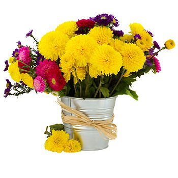 Caicara de Maturin flowers  -  Spring Garden Flower Delivery