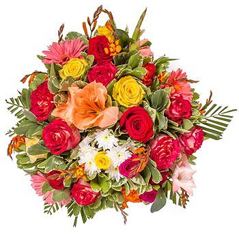 Caicara de Maturin flowers  -  Red Contrasts Flower Delivery