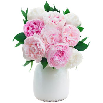 Cayman Islands flowers  -  Calming Pastels Flower Delivery