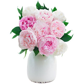 Caicara de Maturin flowers  -  Calming Pastels Flower Delivery