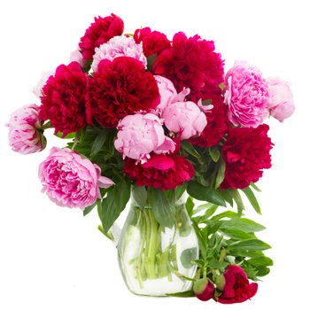 Mississauga flowers  -  Blushing Beauty