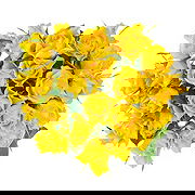 Cas Cora online Florist - Lucky Yellow Bouquet