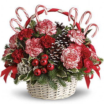 Turkmenistan flowers  -  Prancing in Peppermint Basket Flower Delivery