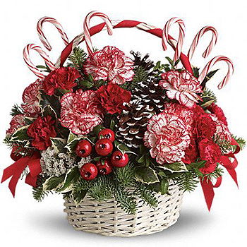 Gedziai flowers  -  Prancing in Peppermint Basket Flower Delivery