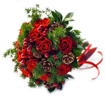 Caicara de Maturin flowers  -  Winter Reds Flower Delivery