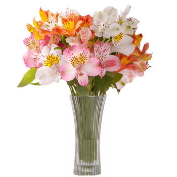 Tanzania flowers  -  Opulence Anytime Flower Delivery