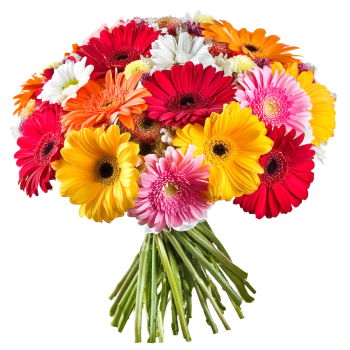 Tanzania flowers  -  Joy Flower Delivery