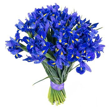 Caicara de Maturin flowers  -  Angelic Shine Flower Delivery