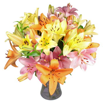 United Kingdom flowers  -  Loved in Lily Bouquet Baskets Delivery