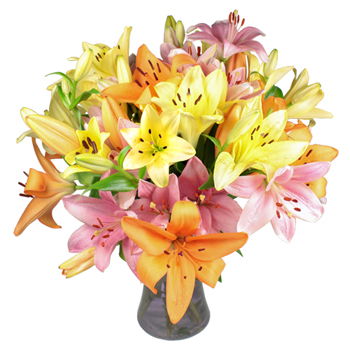 Aberdeen flori-  Buchet/aranjament floral