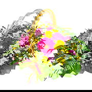 ブードリス オンライン花屋 - ミスティックビューティー 花束
