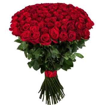 Turkmenistan flowers  -  101 Roses Flower Delivery