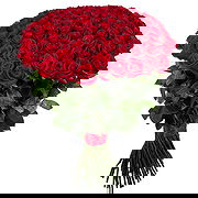Abinsk Online blomsterbutikk - 101 roser Bukett