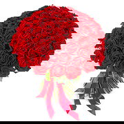 Qarajalari online Florist - 65 Roses Bouquet
