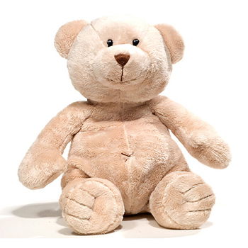 Birmingham flowers  -  Cuddly Teddy Bear