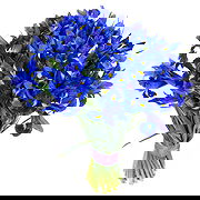 Vorukh Floristeria online - Brillo angelical Ramo de flores