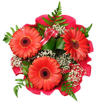 Azerbaijan flowers  -  Red Romance Baskets Delivery