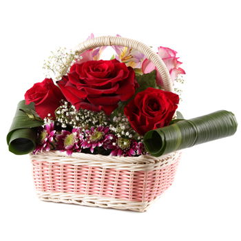 Kyrgyzstan flowers  -  Radiant Petals Baskets Delivery