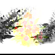 Gamla Uppsala Online Florist - Tändande passioner Bukett