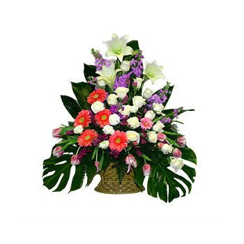 Myanmar flowers  -  Tender Kisses Flower Delivery