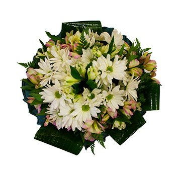 Dominica flowers  -  Dreamer Bouquet Flower Delivery