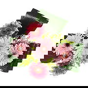 Alger Fleuriste en ligne - Une touche de rose Bouquet