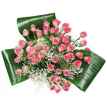 Caicara de Maturin flowers  -  Never Enough Flower Delivery