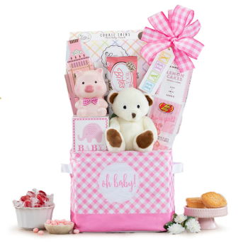 USA, United States flowers  -  Bouncing Baby Girl Basket Baskets Delivery