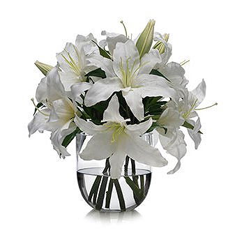 Caicara de Maturin flowers  -  Fresh Start Flower Delivery