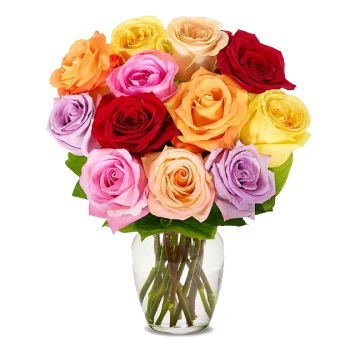 USA, United States flowers  -  Rainbow Love Bloom Baskets Delivery