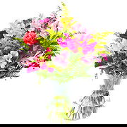 Ziedoni online Florist - For The Love Of Flowers Bouquet