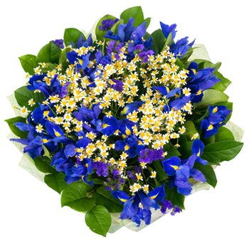 Turkmenistan flowers  -  Love Your Irises Flower Delivery