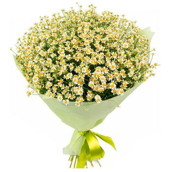 Turkmenistan flowers  -  Overabundance Flower Delivery