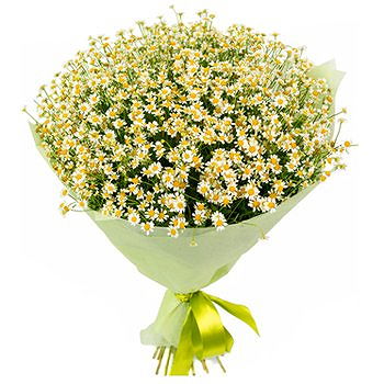 Gedziai flowers  -  Overabundance Flower Delivery