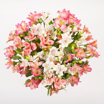 Turkmenistan flowers  -  Tender Moments Flower Delivery