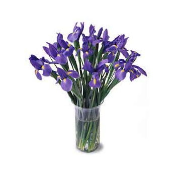 Tanzania flowers  -  Bunch of Irises Flower Delivery