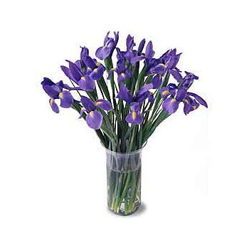 Caicara de Maturin flowers  -  Bunch of Irises Flower Delivery