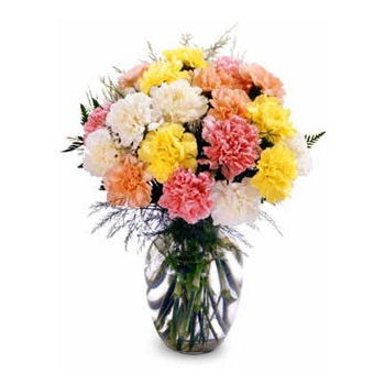 Myanmar flowers  -  Tender Carnations Flower Delivery