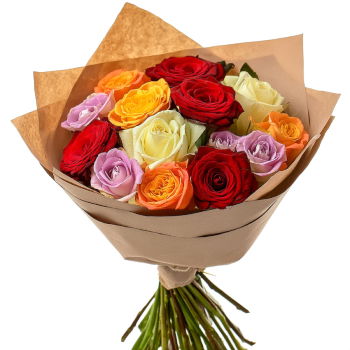 Botswana flowers  -  Mixed Color Roses Flower Delivery