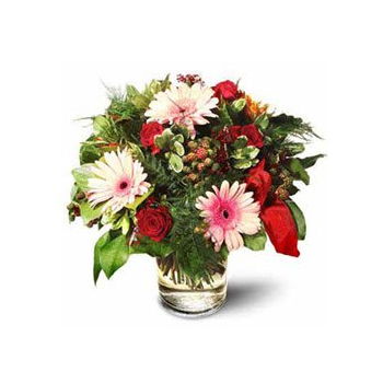 Cayman Islands flowers  -  Roses with Gerbera Daisies Flower Delivery