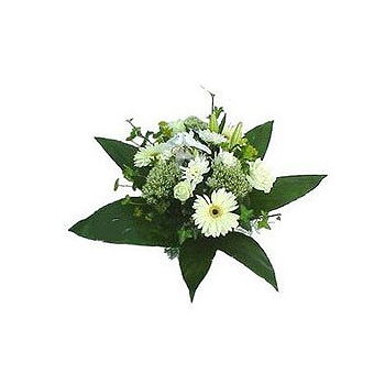 Caicara de Maturin flowers  -  Snowhite Bouquet Flower Delivery