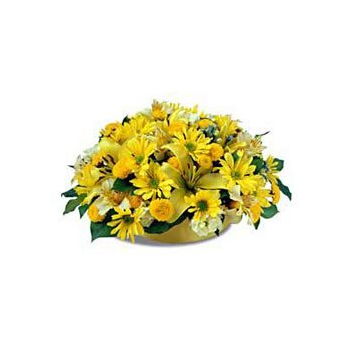 Tanzania flowers  -  Yellow Melody Flower Delivery