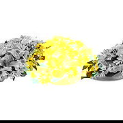 Bergen Fleuriste en ligne - Mélodie jaune Bouquet