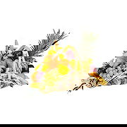 ロンドン オンライン花屋 - フルーツとフラワーバスケット 花束