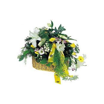 Cayman Islands flowers  -  Orient Basket Flower Delivery