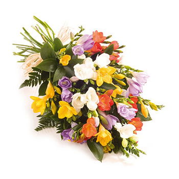 United Kingdom flowers  -  Colorful Freesia Bloom Baskets Delivery