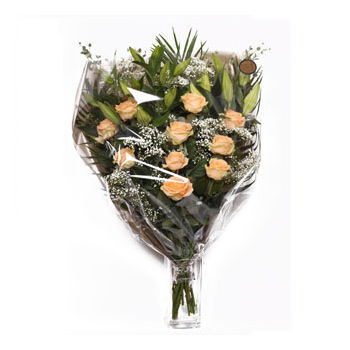 بائع زهور ليفربول- رشة من الخوخ 